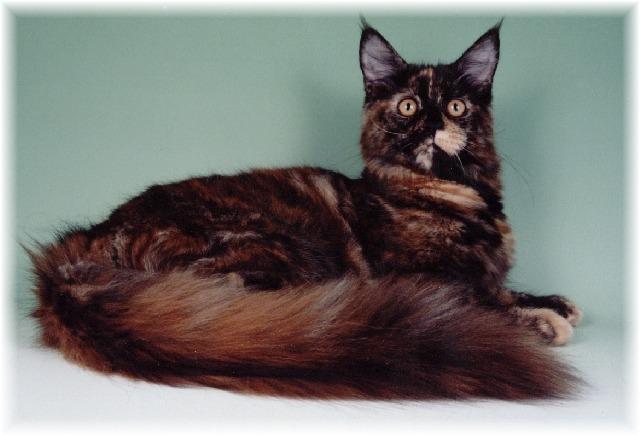 WORLD WINNER 02 IC FIN* Escapes Izabella Coonzales